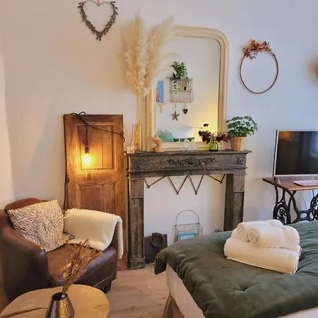 Apartament -coeur Historique -my Little Garden - Parking Gratuit 500m -la Clef De *