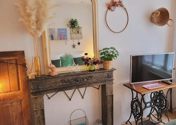 Apartament -coeur Historique -my Little Garden - Parking Gratuit 500m -la Clef De