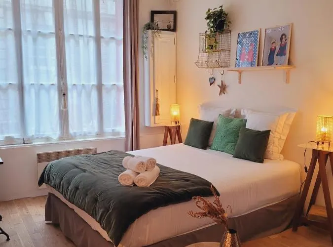 Apartament -coeur Historique -my Little Garden - Parking Gratuit 500m -la Clef De