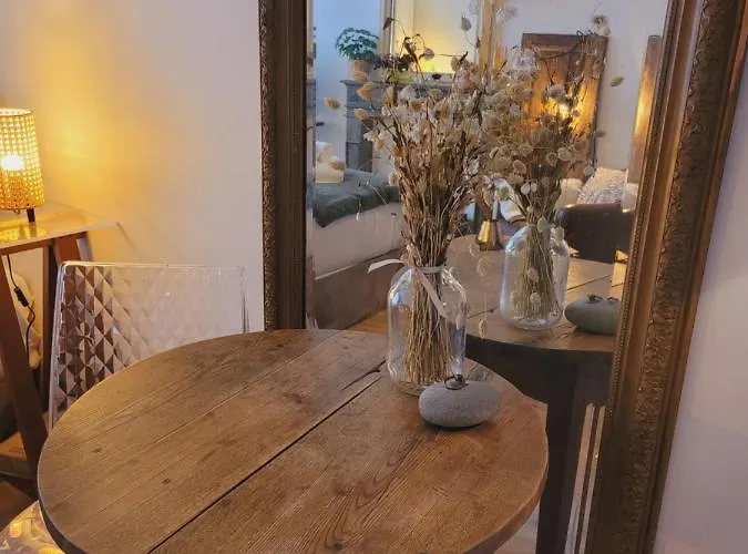 Apartament -coeur Historique -my Little Garden - Parking Gratuit 500m -la Clef De