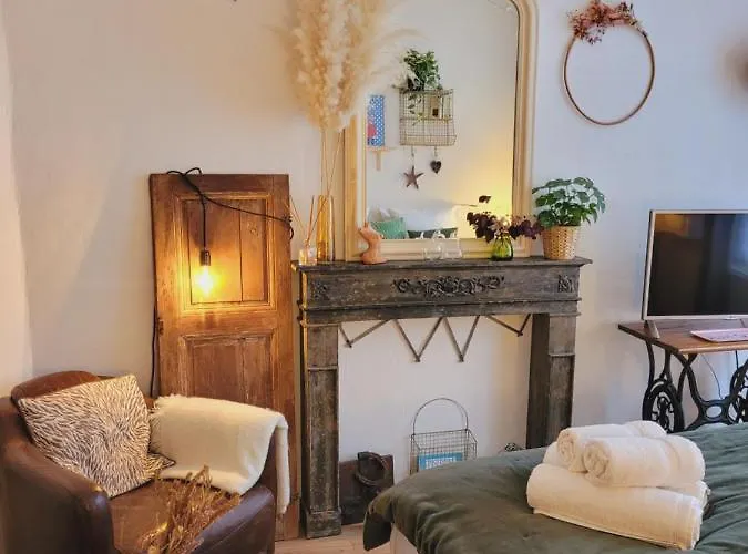 Apartament -coeur Historique -my Little Garden - Parking Gratuit 500m -la Clef De *