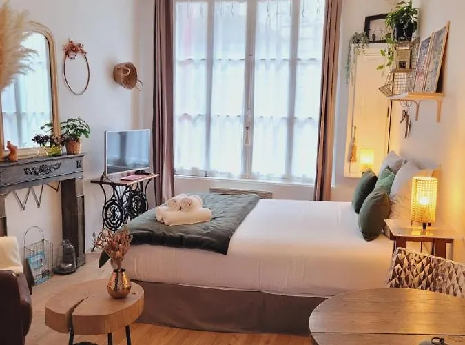 -coeur Historique -my Little Garden - Parking Gratuit 500m -la Clef De Apartament *