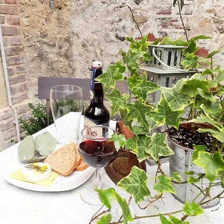 My Little Garden -parking Gratuit 500m -coeur Historique -la Clef De Apartment