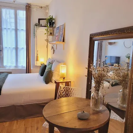 Apartment My Little Garden -parking Gratuit 500m -coeur Historique -la Clef De
