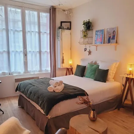 アパート -coeur Historique -my Little Garden - Parking Gratuit 500m -la Clef De