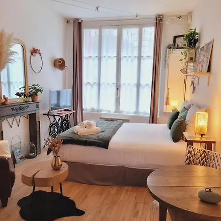 -coeur Historique -my Little Garden - Parking Gratuit 500m -la Clef De アパート *