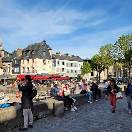 アパート -coeur Historique -my Little Garden - Parking Gratuit 500m -la Clef De オンフルール