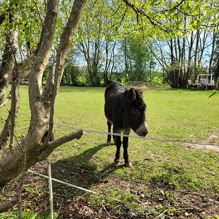 My Little Garden -parking Gratuit 500m -coeur Historique -la Clef De * Honfleur